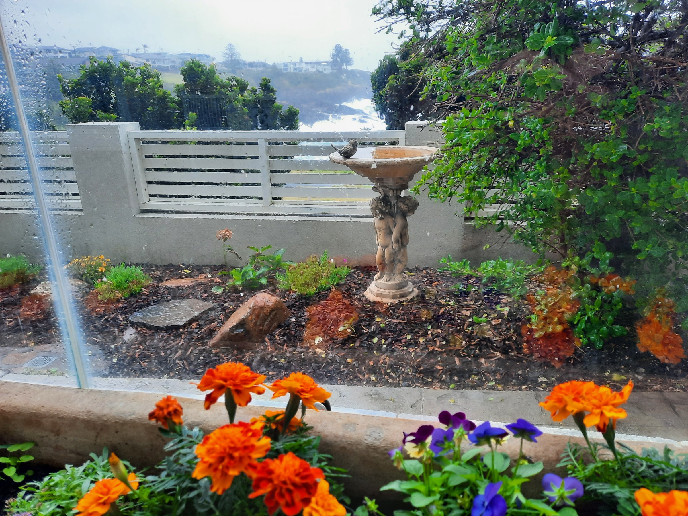 Hampton House – Kiama Oceanfront Estate - photo 28